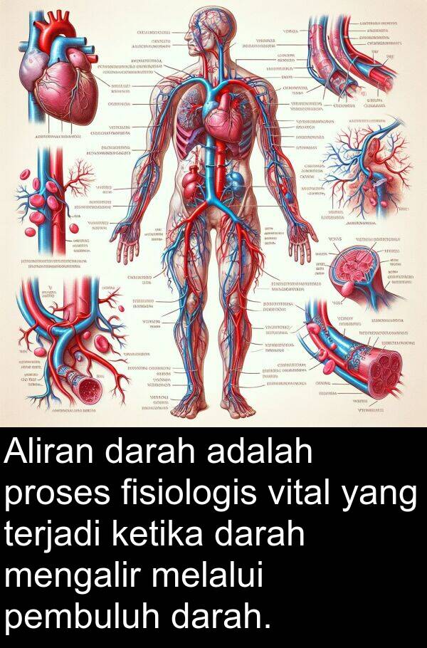 pembuluh: Aliran darah adalah proses fisiologis vital yang terjadi ketika darah mengalir melalui pembuluh darah.