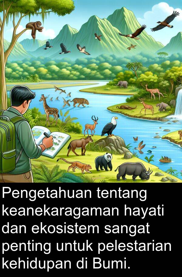 pelestarian: Pengetahuan tentang keanekaragaman hayati dan ekosistem sangat penting untuk pelestarian kehidupan di Bumi.