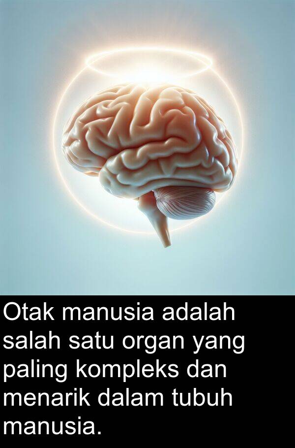 organ: Otak manusia adalah salah satu organ yang paling kompleks dan menarik dalam tubuh manusia.