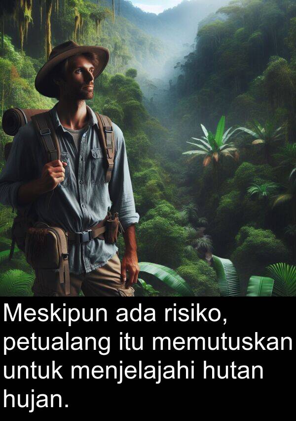 hujan: Meskipun ada risiko, petualang itu memutuskan untuk menjelajahi hutan hujan.