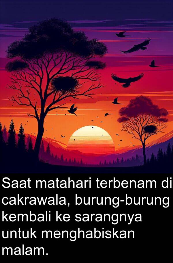 kembali: Saat matahari terbenam di cakrawala, burung-burung kembali ke sarangnya untuk menghabiskan malam.