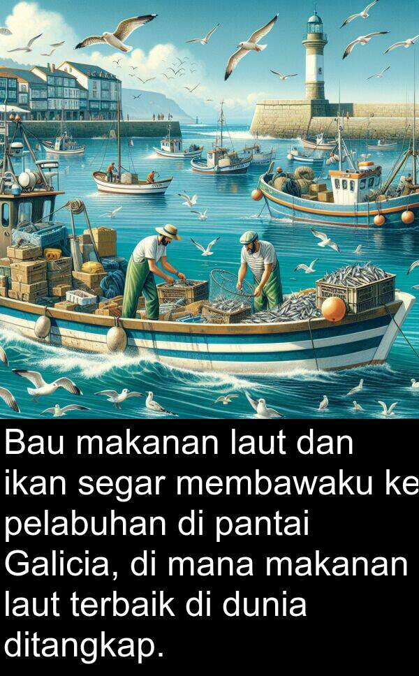 pelabuhan: Bau makanan laut dan ikan segar membawaku ke pelabuhan di pantai Galicia, di mana makanan laut terbaik di dunia ditangkap.