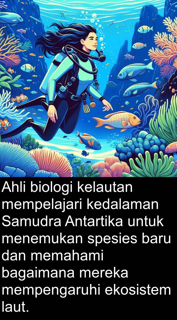 kelautan: Ahli biologi kelautan mempelajari kedalaman Samudra Antartika untuk menemukan spesies baru dan memahami bagaimana mereka mempengaruhi ekosistem laut.