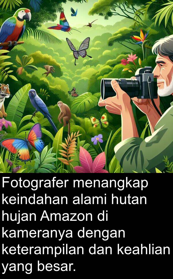 keindahan: Fotografer menangkap keindahan alami hutan hujan Amazon di kameranya dengan keterampilan dan keahlian yang besar.