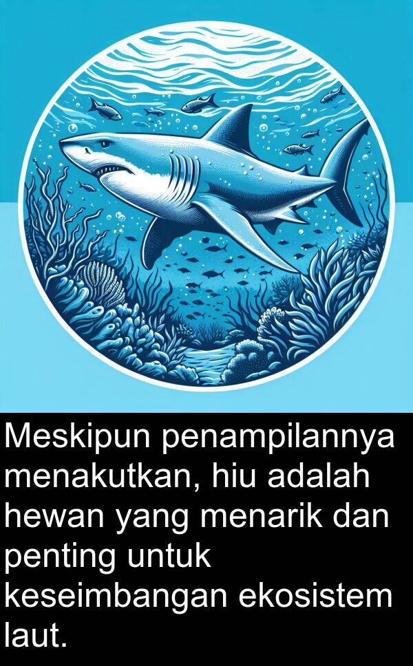 hiu: Meskipun penampilannya menakutkan, hiu adalah hewan yang menarik dan penting untuk keseimbangan ekosistem laut.