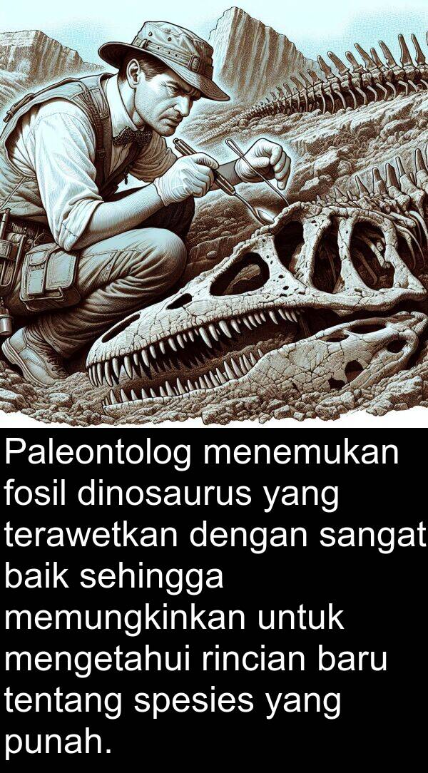 rincian: Paleontolog menemukan fosil dinosaurus yang terawetkan dengan sangat baik sehingga memungkinkan untuk mengetahui rincian baru tentang spesies yang punah.