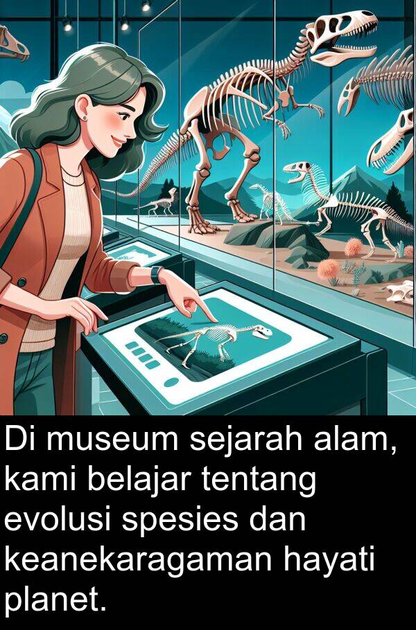 keanekaragaman: Di museum sejarah alam, kami belajar tentang evolusi spesies dan keanekaragaman hayati planet.