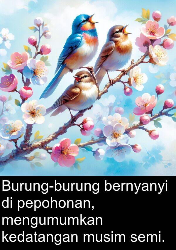 kedatangan: Burung-burung bernyanyi di pepohonan, mengumumkan kedatangan musim semi.