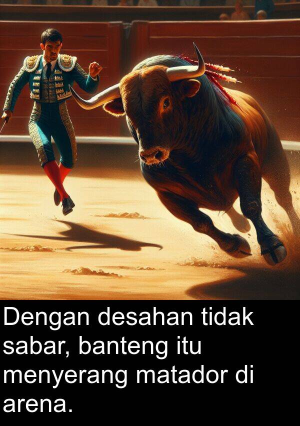 desahan: Dengan desahan tidak sabar, banteng itu menyerang matador di arena.