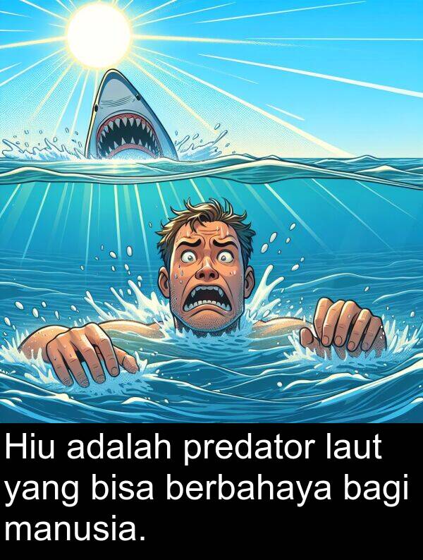 laut: Hiu adalah predator laut yang bisa berbahaya bagi manusia.