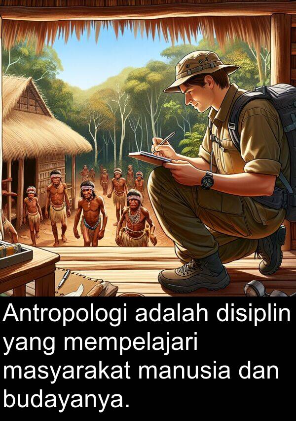 manusia: Antropologi adalah disiplin yang mempelajari masyarakat manusia dan budayanya.