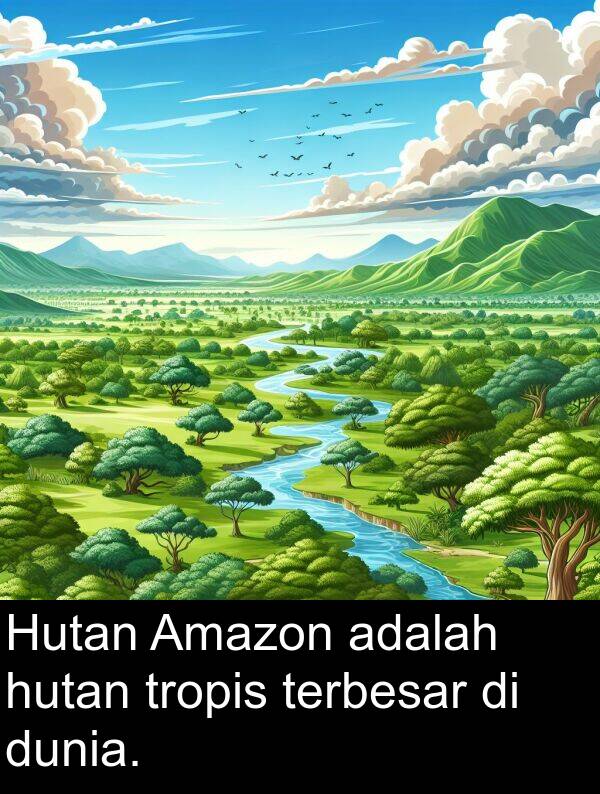 hutan: Hutan Amazon adalah hutan tropis terbesar di dunia.