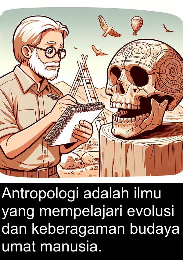 umat: Antropologi adalah ilmu yang mempelajari evolusi dan keberagaman budaya umat manusia.