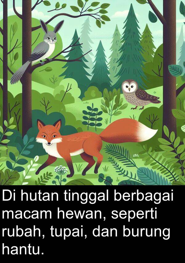 hewan: Di hutan tinggal berbagai macam hewan, seperti rubah, tupai, dan burung hantu.