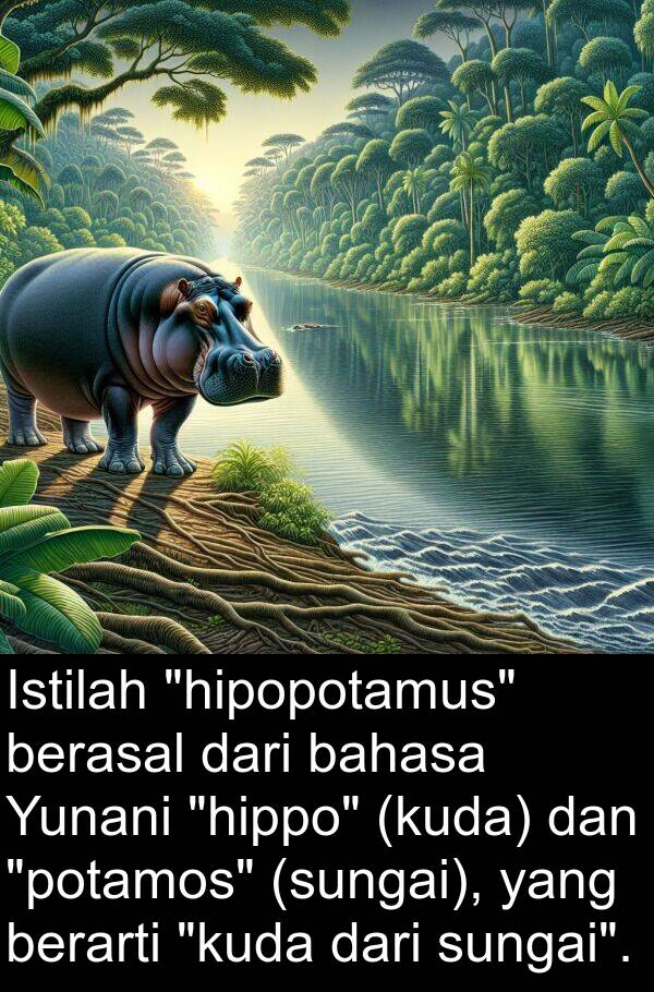 berarti: Istilah "hipopotamus" berasal dari bahasa Yunani "hippo" (kuda) dan "potamos" (sungai), yang berarti "kuda dari sungai".