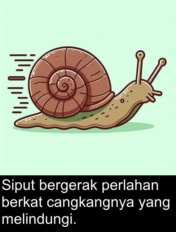 cangkangnya: Siput bergerak perlahan berkat cangkangnya yang melindungi.