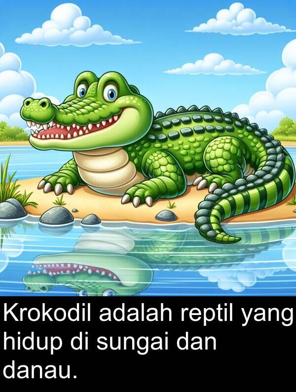 hidup: Krokodil adalah reptil yang hidup di sungai dan danau.