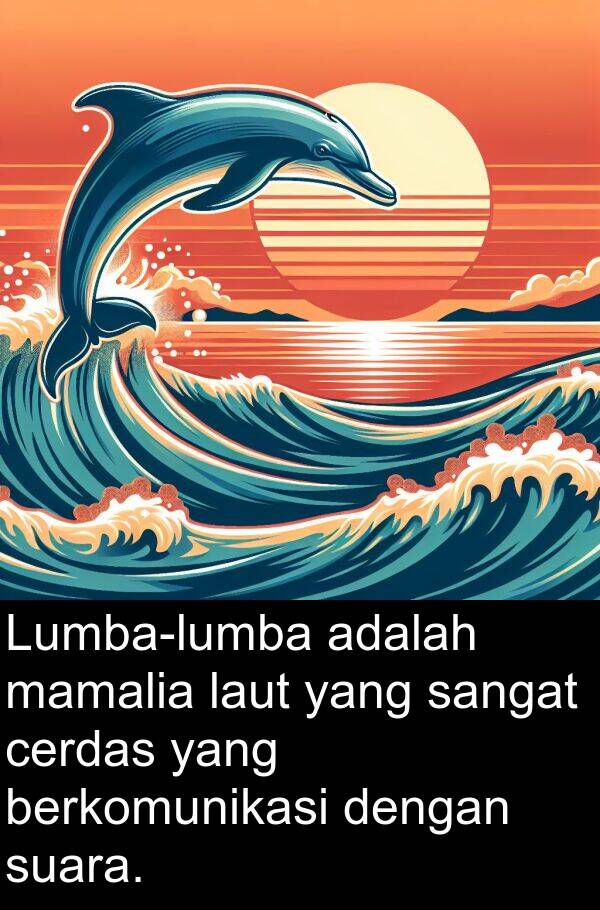 laut: Lumba-lumba adalah mamalia laut yang sangat cerdas yang berkomunikasi dengan suara.