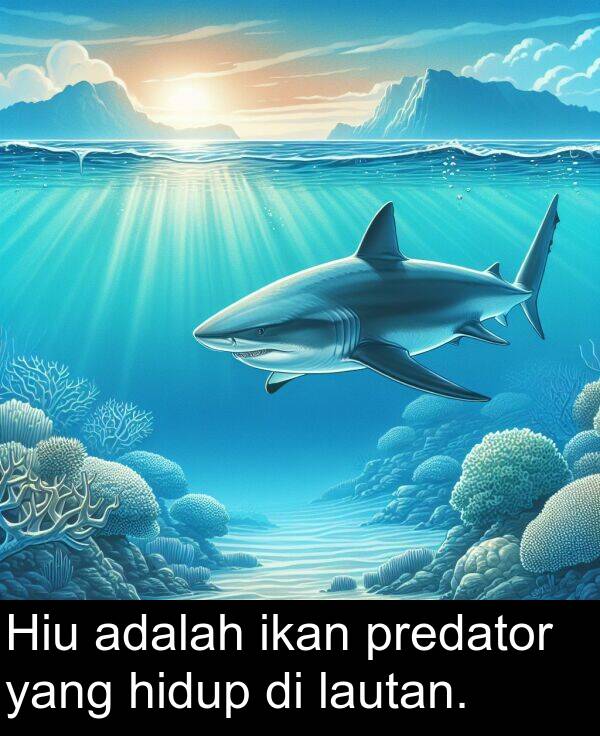 lautan: Hiu adalah ikan predator yang hidup di lautan.