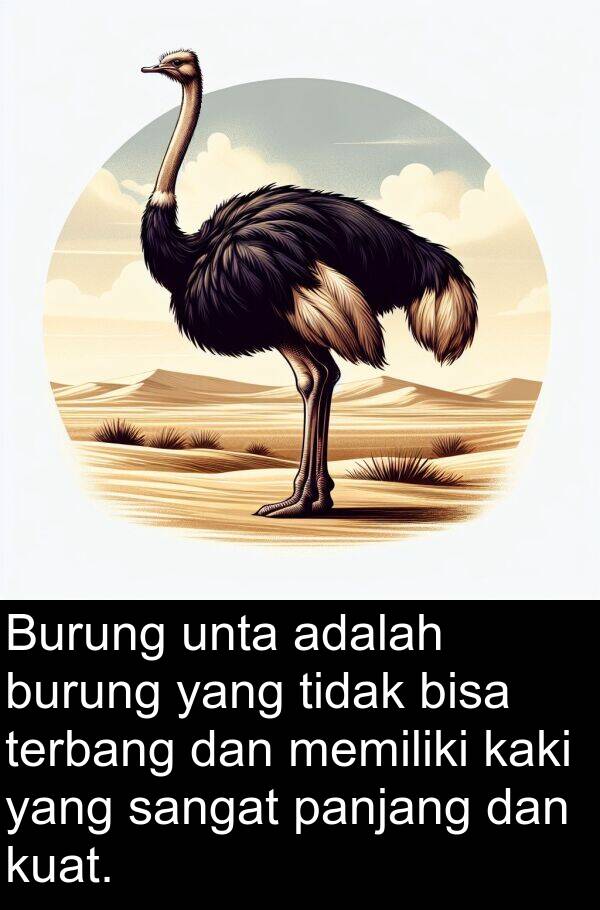 unta: Burung unta adalah burung yang tidak bisa terbang dan memiliki kaki yang sangat panjang dan kuat.