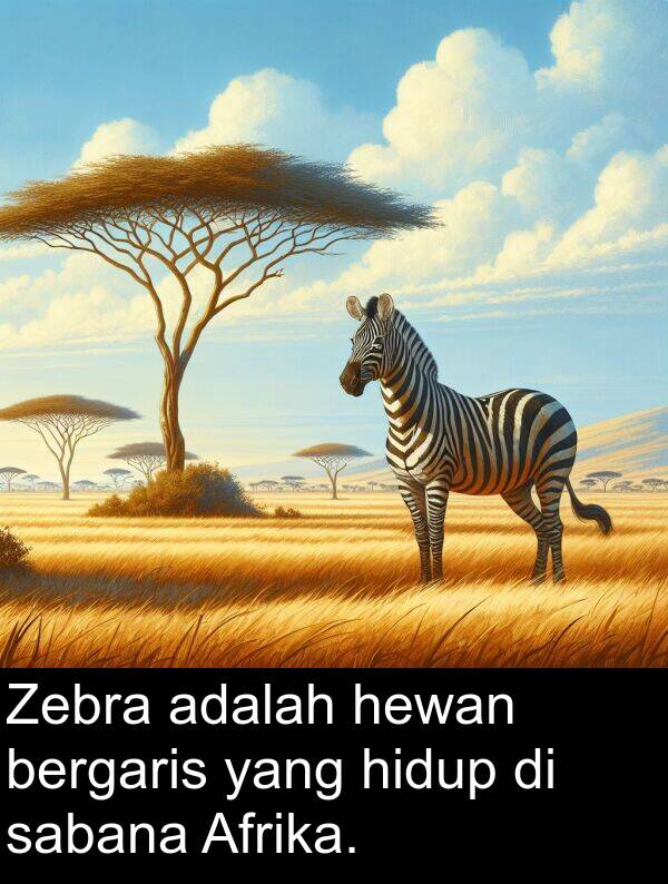 hewan: Zebra adalah hewan bergaris yang hidup di sabana Afrika.