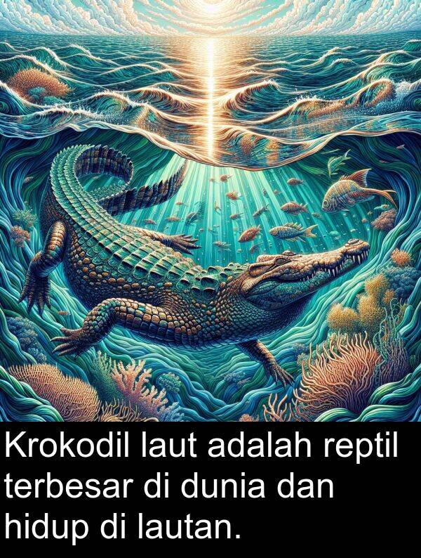 laut: Krokodil laut adalah reptil terbesar di dunia dan hidup di lautan.