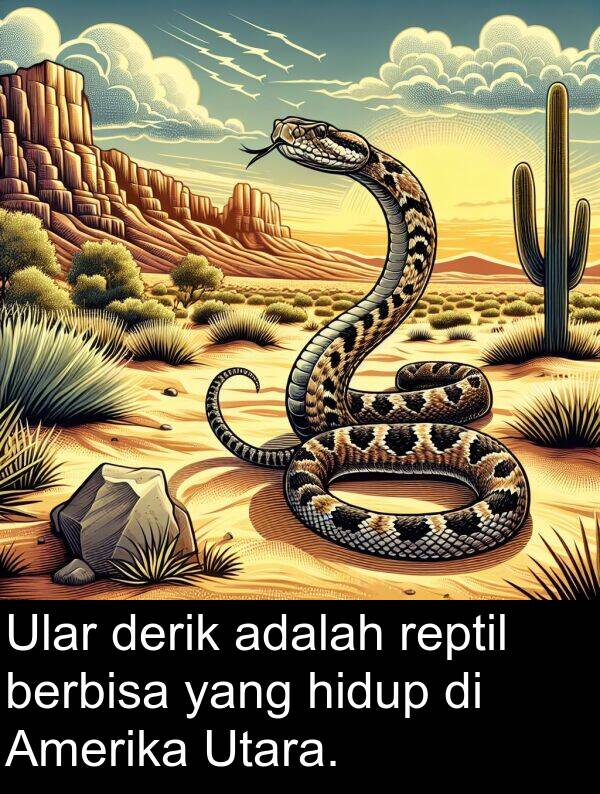 hidup: Ular derik adalah reptil berbisa yang hidup di Amerika Utara.