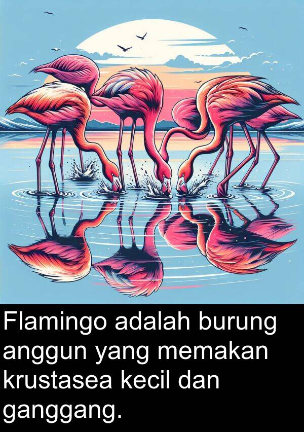 kecil: Flamingo adalah burung anggun yang memakan krustasea kecil dan ganggang.