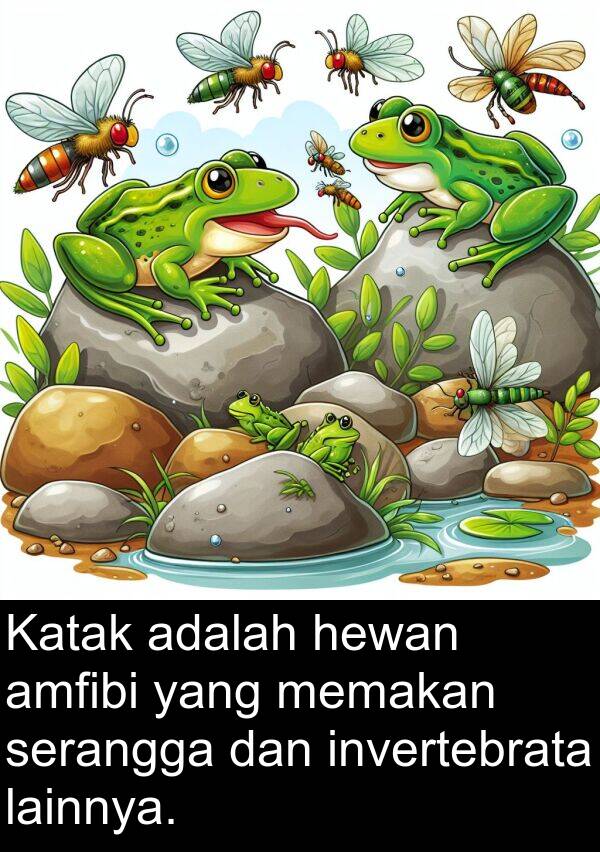 lainnya: Katak adalah hewan amfibi yang memakan serangga dan invertebrata lainnya.