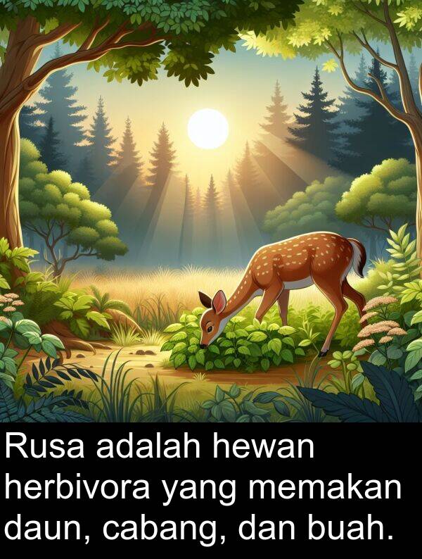 herbivora: Rusa adalah hewan herbivora yang memakan daun, cabang, dan buah.