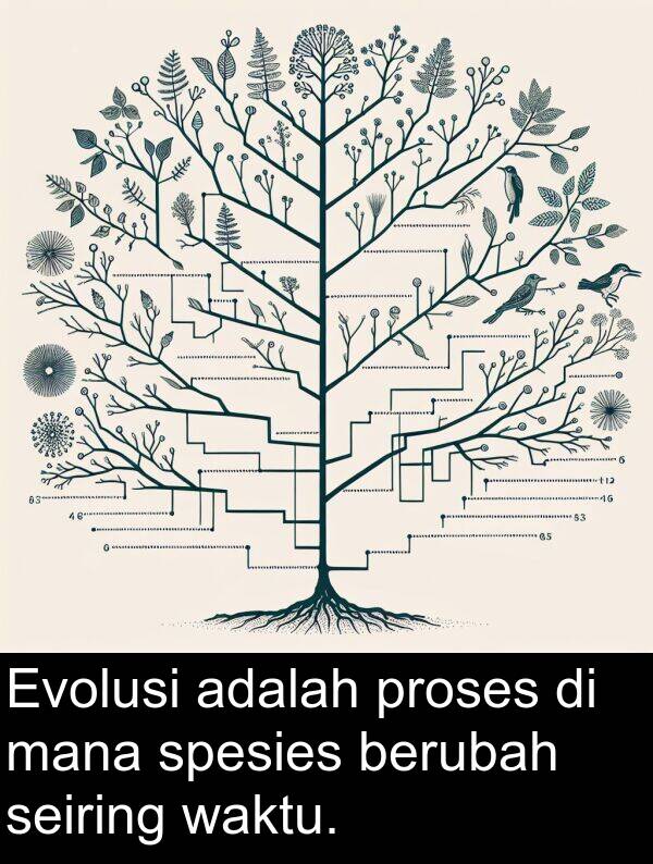 waktu: Evolusi adalah proses di mana spesies berubah seiring waktu.