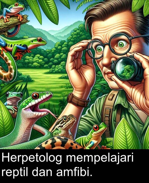 reptil: Herpetolog mempelajari reptil dan amfibi.