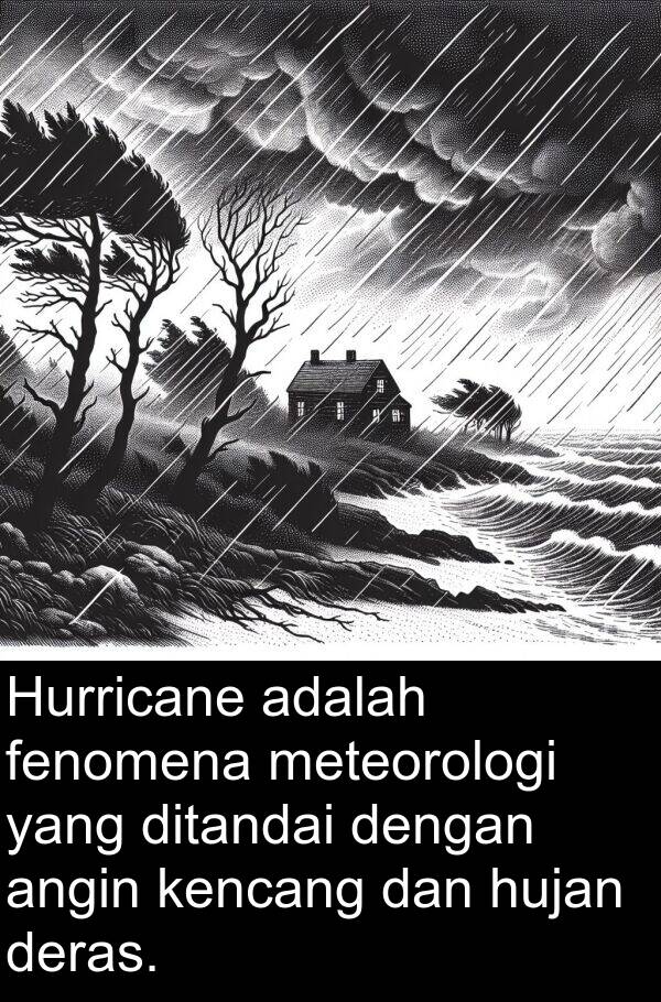 hujan: Hurricane adalah fenomena meteorologi yang ditandai dengan angin kencang dan hujan deras.