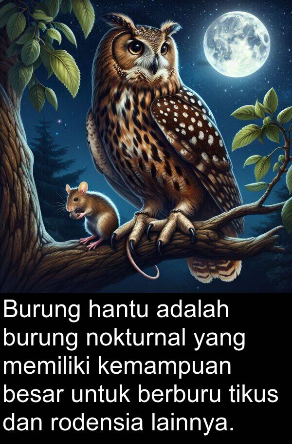 lainnya: Burung hantu adalah burung nokturnal yang memiliki kemampuan besar untuk berburu tikus dan rodensia lainnya.