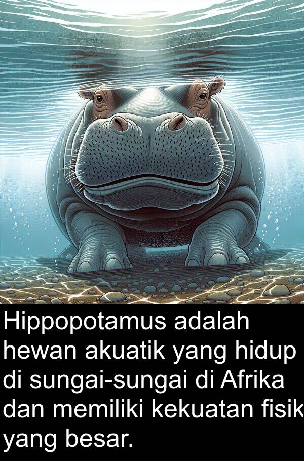 kekuatan: Hippopotamus adalah hewan akuatik yang hidup di sungai-sungai di Afrika dan memiliki kekuatan fisik yang besar.