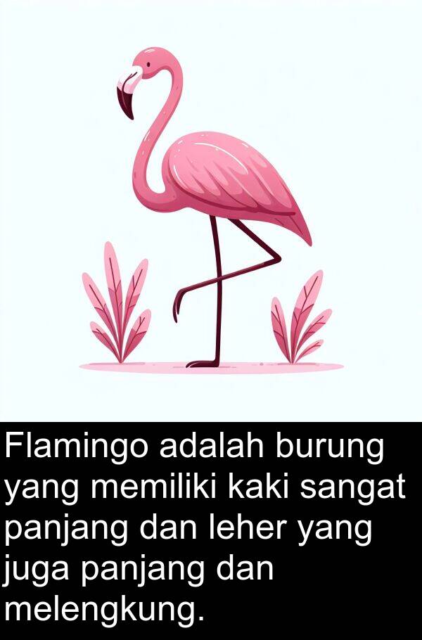 leher: Flamingo adalah burung yang memiliki kaki sangat panjang dan leher yang juga panjang dan melengkung.