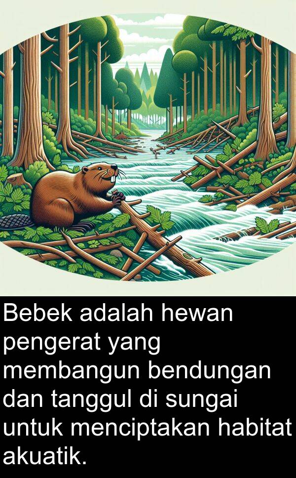 pengerat: Bebek adalah hewan pengerat yang membangun bendungan dan tanggul di sungai untuk menciptakan habitat akuatik.