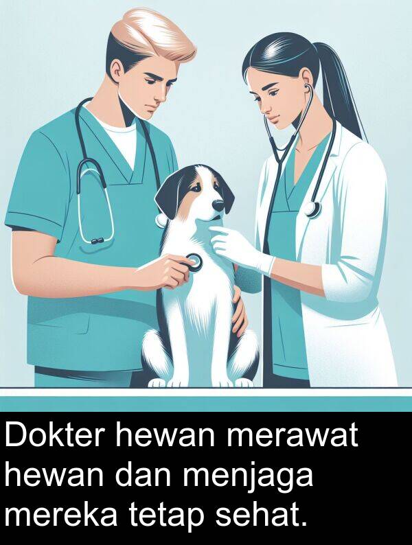 hewan: Dokter hewan merawat hewan dan menjaga mereka tetap sehat.