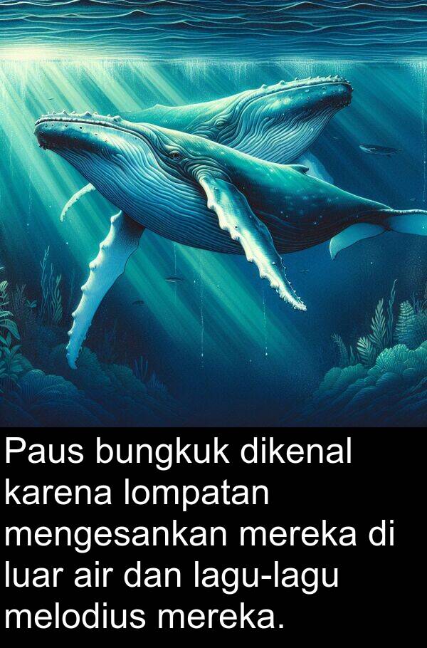 lompatan: Paus bungkuk dikenal karena lompatan mengesankan mereka di luar air dan lagu-lagu melodius mereka.