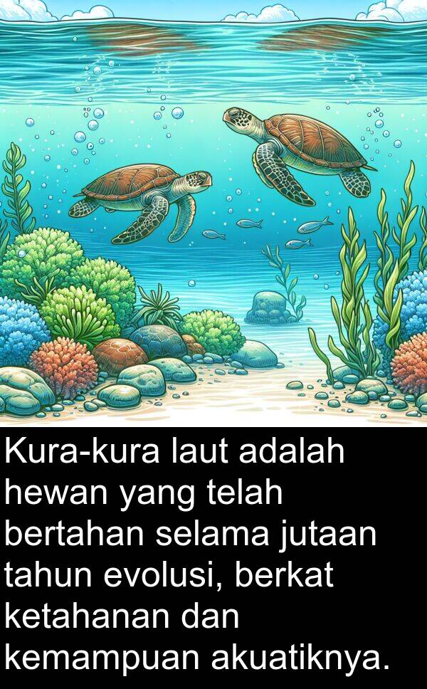 kemampuan: Kura-kura laut adalah hewan yang telah bertahan selama jutaan tahun evolusi, berkat ketahanan dan kemampuan akuatiknya.