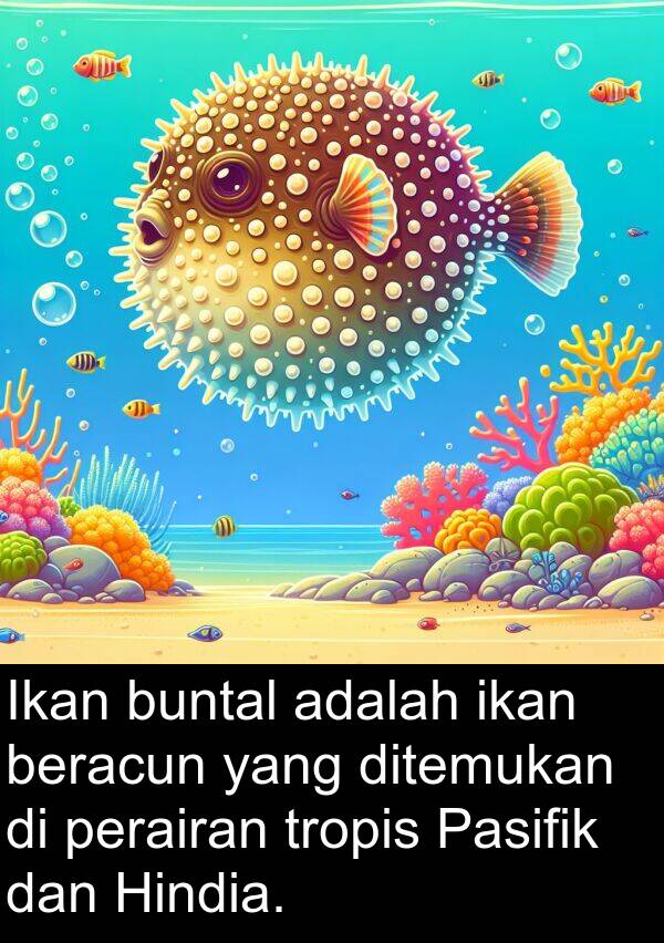 beracun: Ikan buntal adalah ikan beracun yang ditemukan di perairan tropis Pasifik dan Hindia.