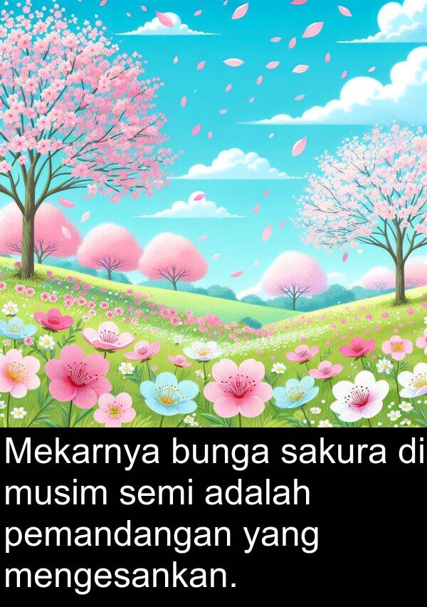 pemandangan: Mekarnya bunga sakura di musim semi adalah pemandangan yang mengesankan.