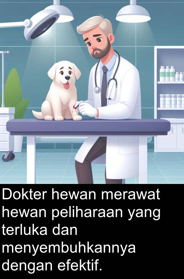 peliharaan: Dokter hewan merawat hewan peliharaan yang terluka dan menyembuhkannya dengan efektif.