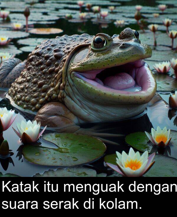 serak: Katak itu menguak dengan suara serak di kolam.