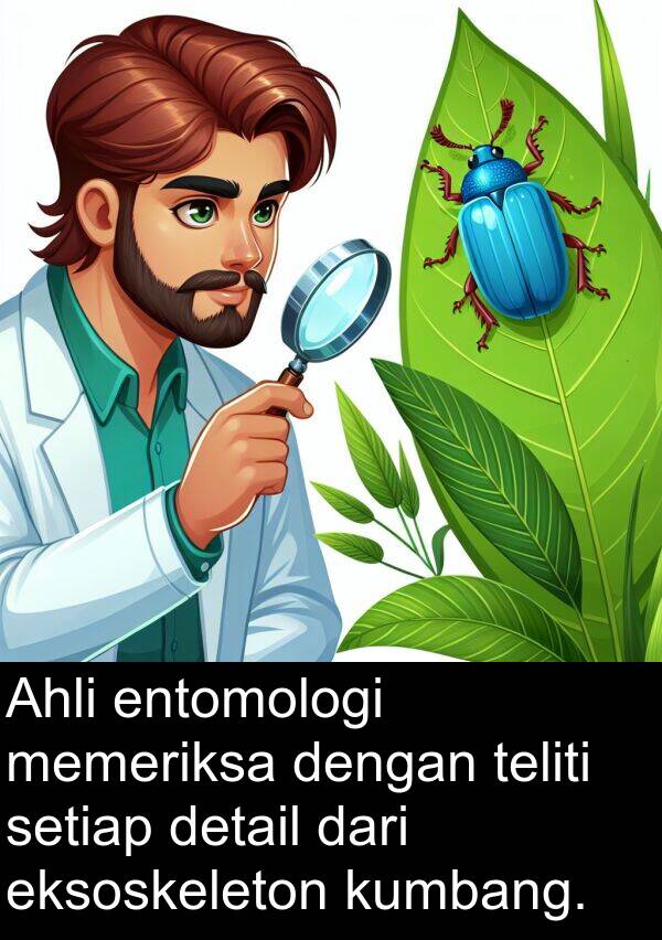 entomologi: Ahli entomologi memeriksa dengan teliti setiap detail dari eksoskeleton kumbang.