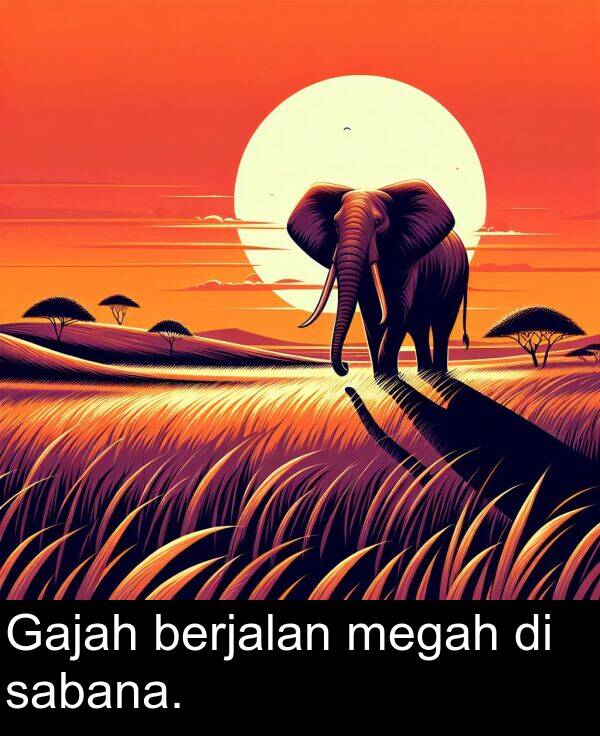 berjalan: Gajah berjalan megah di sabana.