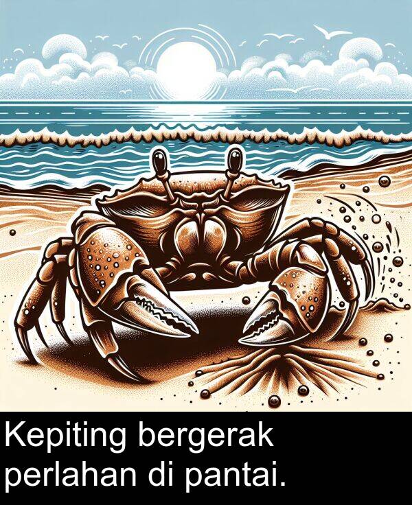 pantai: Kepiting bergerak perlahan di pantai.