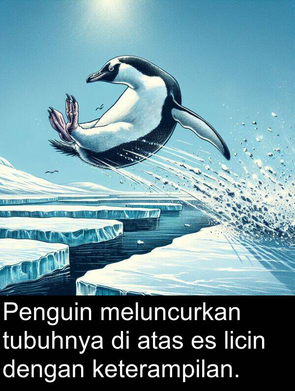 licin: Penguin meluncurkan tubuhnya di atas es licin dengan keterampilan.