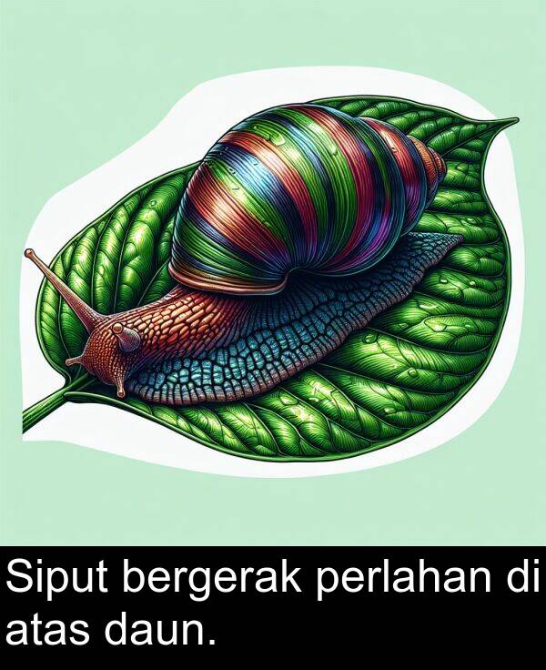 bergerak: Siput bergerak perlahan di atas daun.