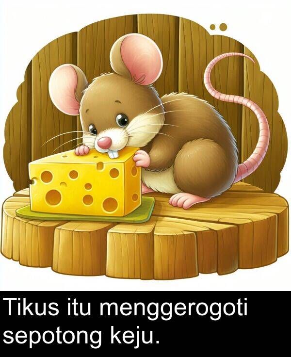 keju: Tikus itu menggerogoti sepotong keju.